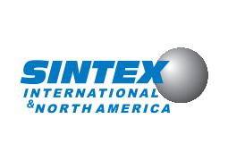 SINTEX International and North America